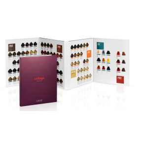 Lakmé Collage Color Chart 120 Tones